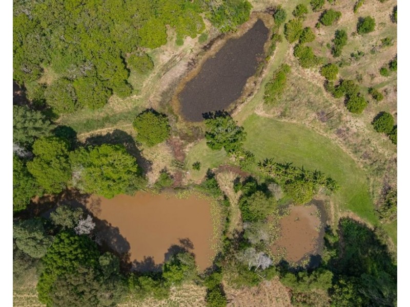 253 Palmvale Road, Palmvale NSW 2484