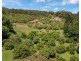 253 Palmvale Road, Palmvale NSW 2484