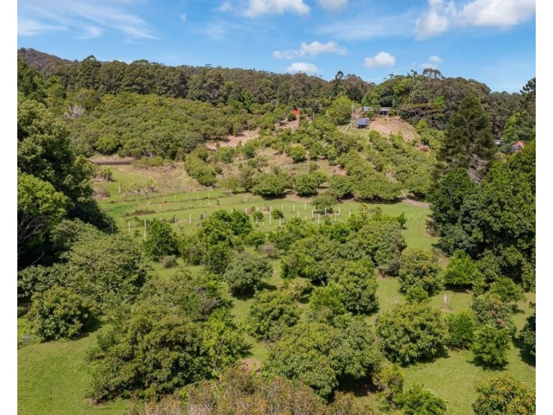 253 Palmvale Road, Palmvale NSW 2484