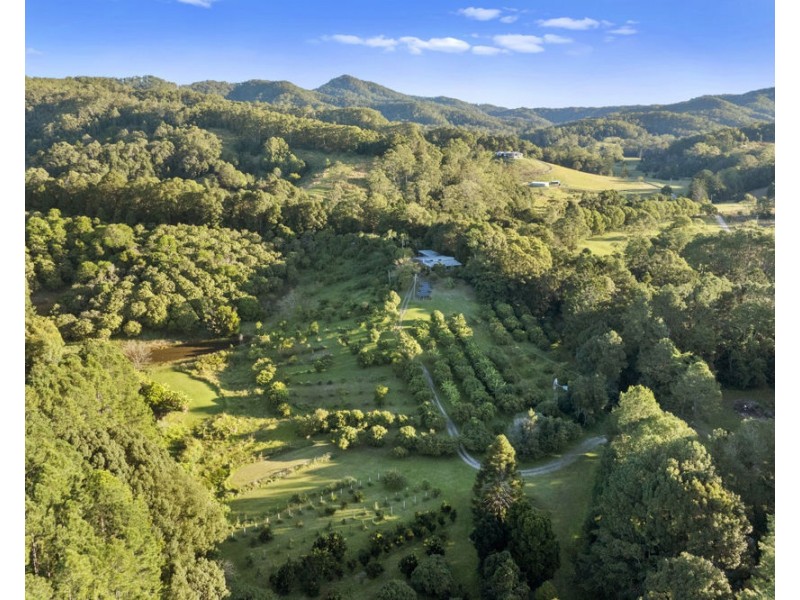 253 Palmvale Road, Palmvale NSW 2484