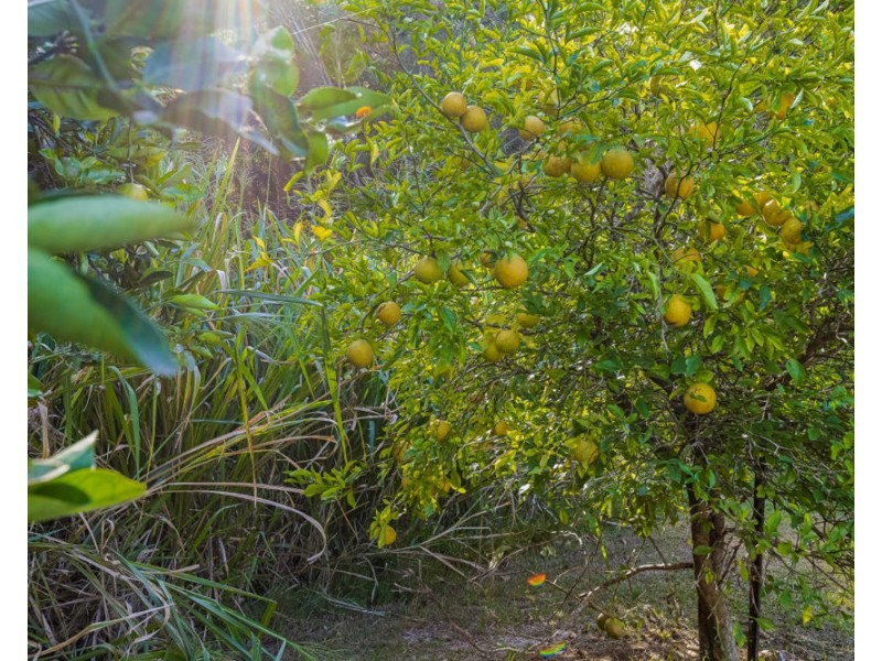 42 Sand street, Kingscliff NSW 2487