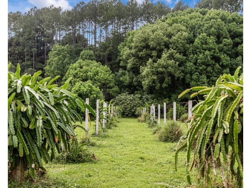 253 Palmvale Road, Palmvale NSW 2484