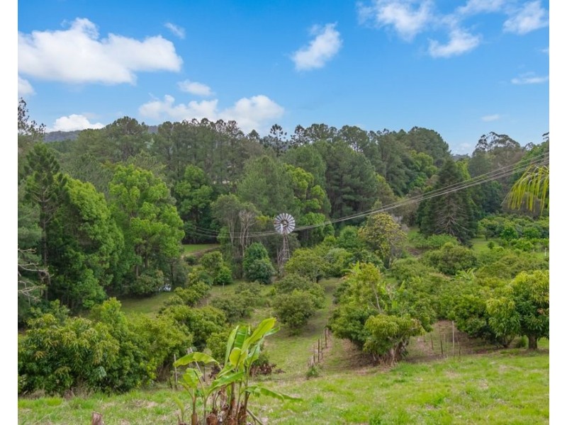 253 Palmvale Road, Palmvale NSW 2484