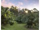 253 Palmvale Road, Palmvale NSW 2484