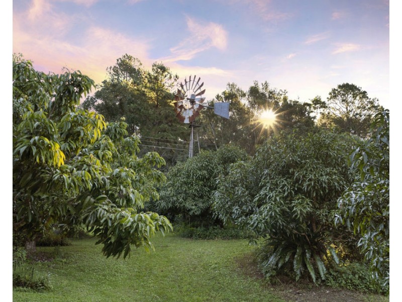 253 Palmvale Road, Palmvale NSW 2484