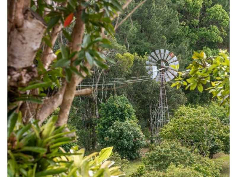 253 Palmvale Road, Palmvale NSW 2484