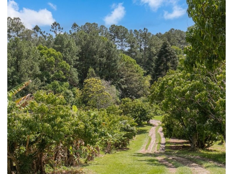 253 Palmvale Road, Palmvale NSW 2484