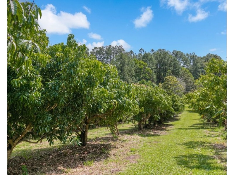 253 Palmvale Road, Palmvale NSW 2484