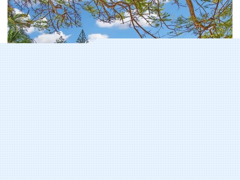 332/99 Griffith Street, Coolangatta QLD 4225