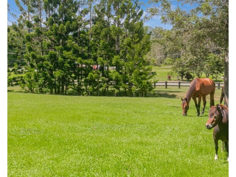 10 Bandana Dr, Piggabeen NSW 2486