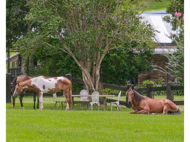 10 Bandana Dr, Piggabeen NSW 2486