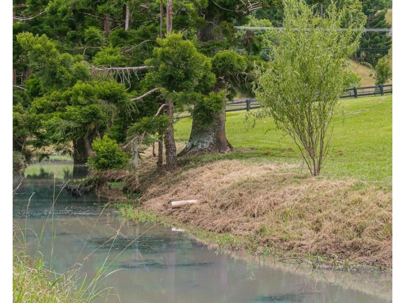 10 Bandana Dr, Piggabeen NSW 2486