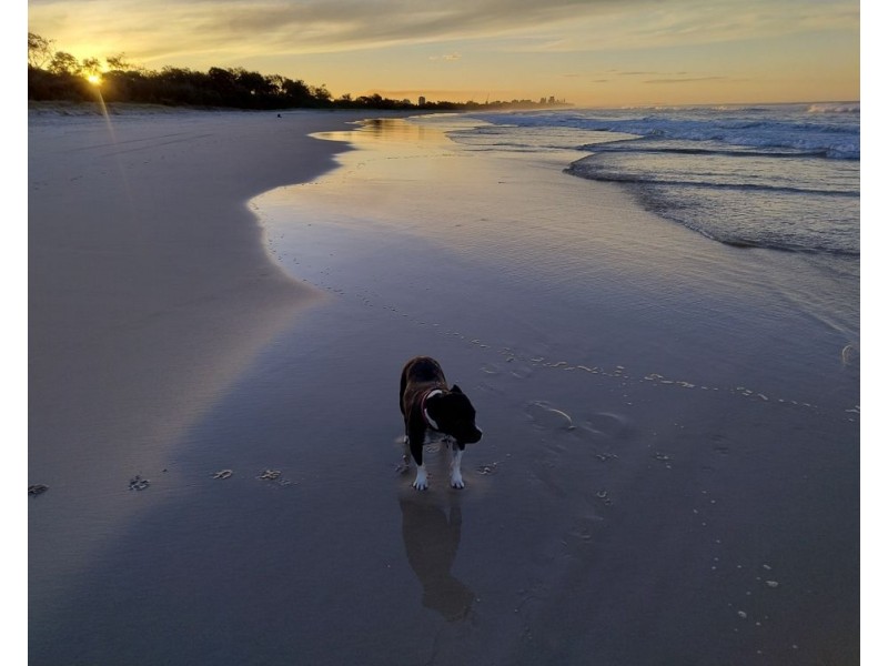 104 Riverside Drive, Tumbulgum NSW 2490