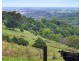 35 Cougal Road, Carool NSW 2486