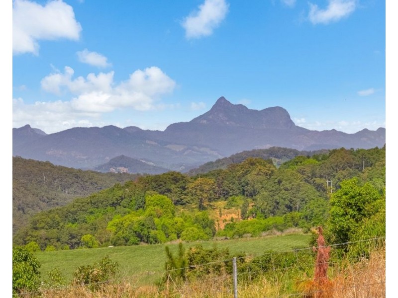 35a Cougal Road, Carool NSW 2486