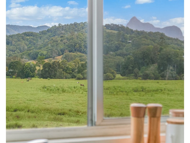 473 Numinbah Road, Nobbys Creek NSW 2484