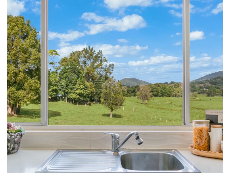 473 Numinbah Road, Nobbys Creek NSW 2484