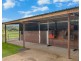 473 Numinbah Road, Nobbys Creek NSW 2484