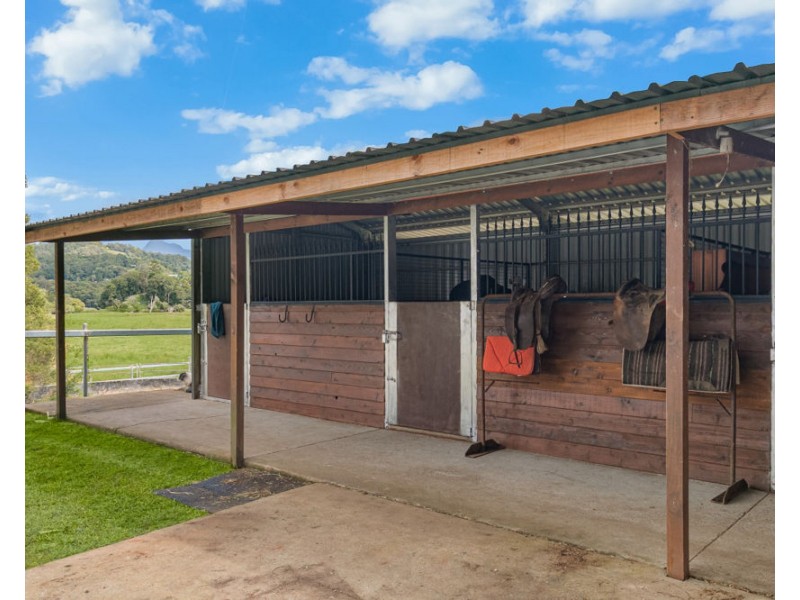 473 Numinbah Road, Nobbys Creek NSW 2484
