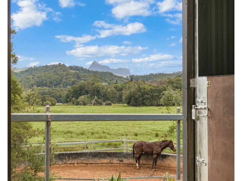 473 Numinbah Road, Nobbys Creek NSW 2484