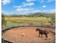 473 Numinbah Road, Nobbys Creek NSW 2484