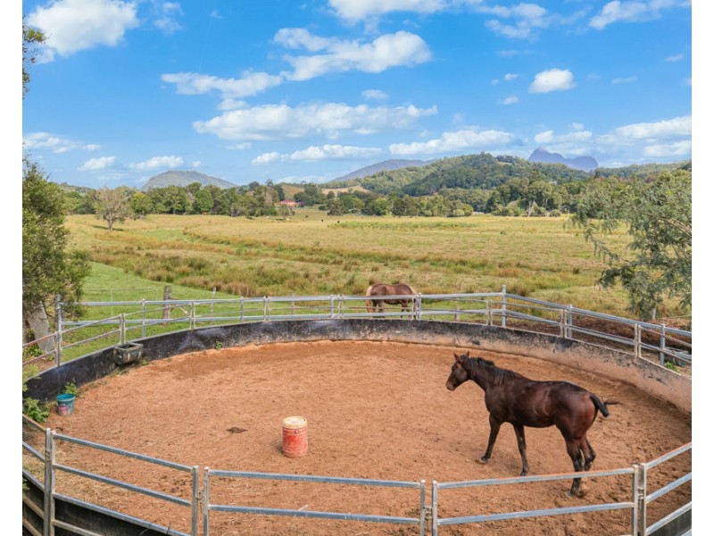 473 Numinbah Road, Nobbys Creek NSW 2484