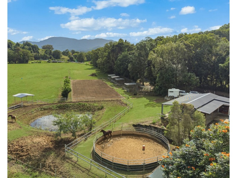 473 Numinbah Road, Nobbys Creek NSW 2484