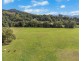 473 Numinbah Road, Nobbys Creek NSW 2484