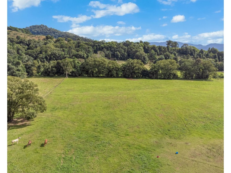 473 Numinbah Road, Nobbys Creek NSW 2484