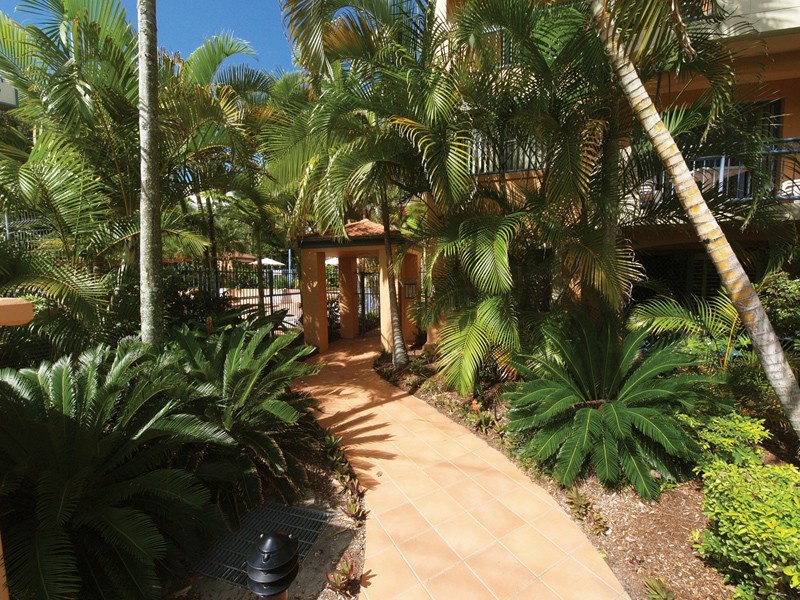 3/5  Hill Street, Rainbow Bay QLD 4225