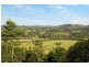 4 Owenia Cct, Bilambil Heights NSW 2486
