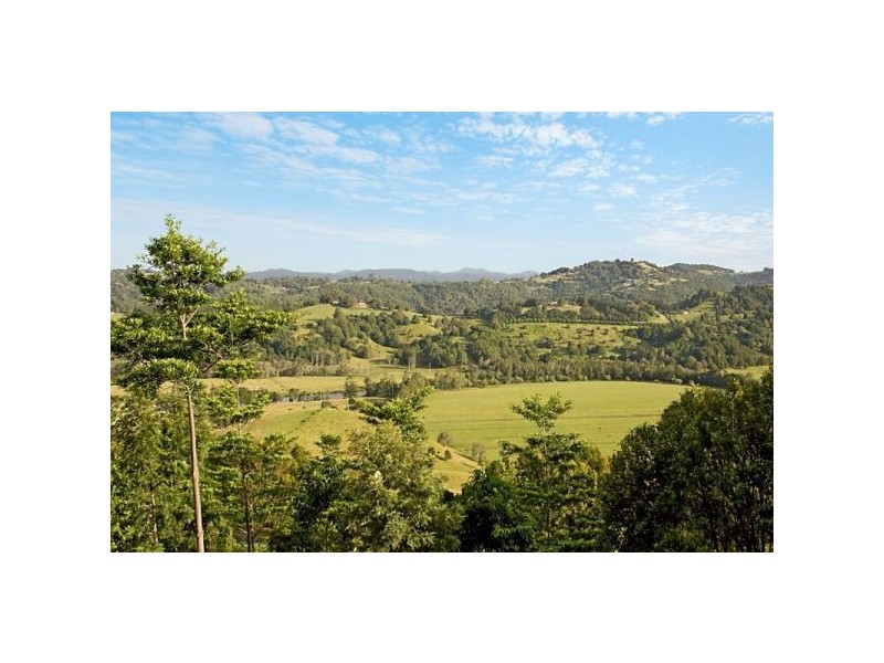 4 Owenia Cct, Bilambil Heights NSW 2486