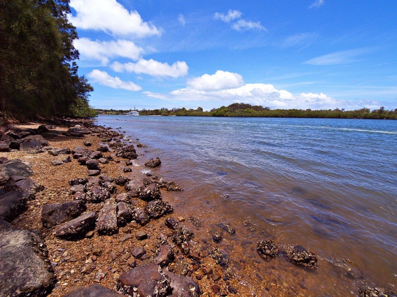 Tweed Heads NSW 2485