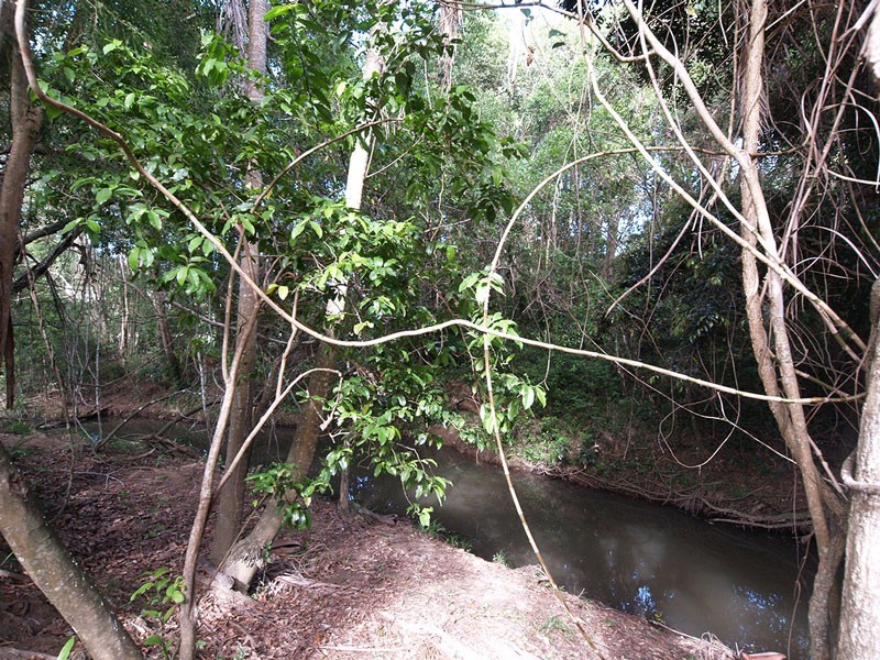 610 Piggabeen rd, Piggabeen NSW 2486