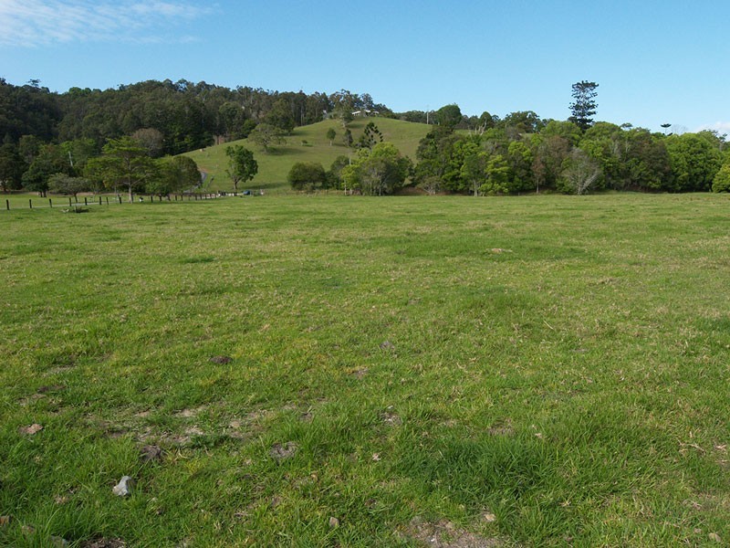 610 Piggabeen rd, Piggabeen NSW 2486