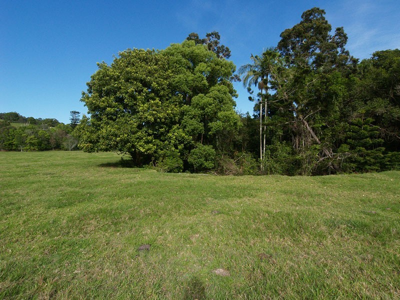 610 Piggabeen rd, Piggabeen NSW 2486