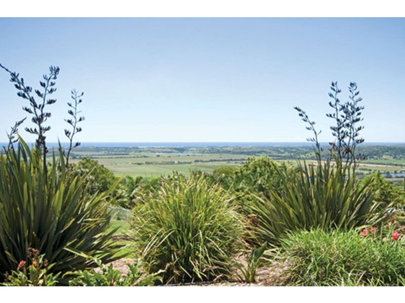 23 Carrington Crt, Terranora NSW 2486