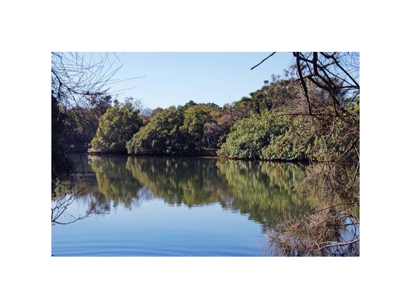 54 Fingal Rd, Fingal Head NSW 2487