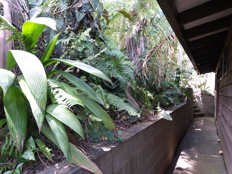 50 Lalina Ave, Tweed Heads West NSW 2485