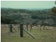Carool NSW 2486