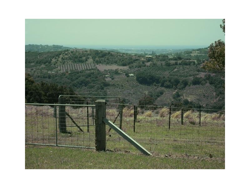 Carool NSW 2486