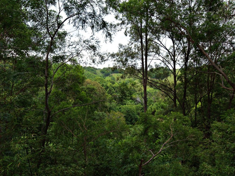 132 Peninsula Drive, Bilambil Heights NSW 2486