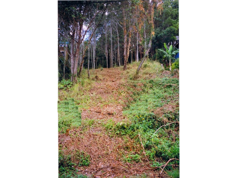 148 Broadwater Esplanade, Bilambil Heights NSW 2486