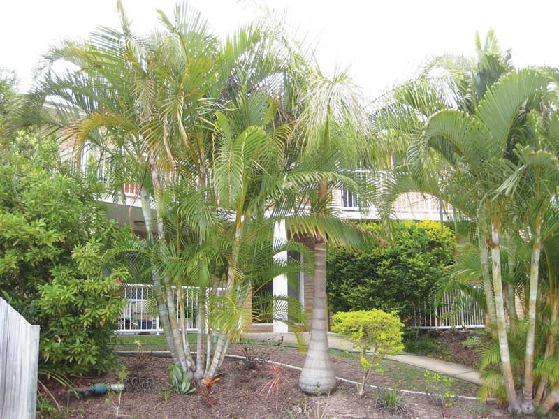 3/2 Parry Street, Tweed Heads South NSW 2486
