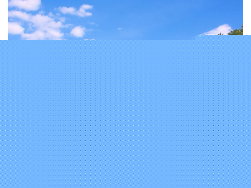 7/50 Dutton Street, Coolangatta QLD 4225