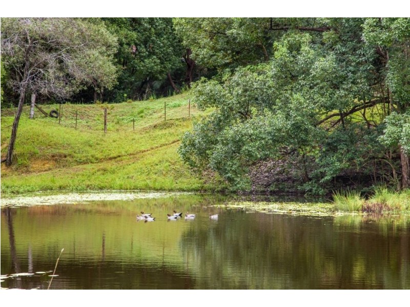 29 Green Valley Way, Piggabeen NSW 2486