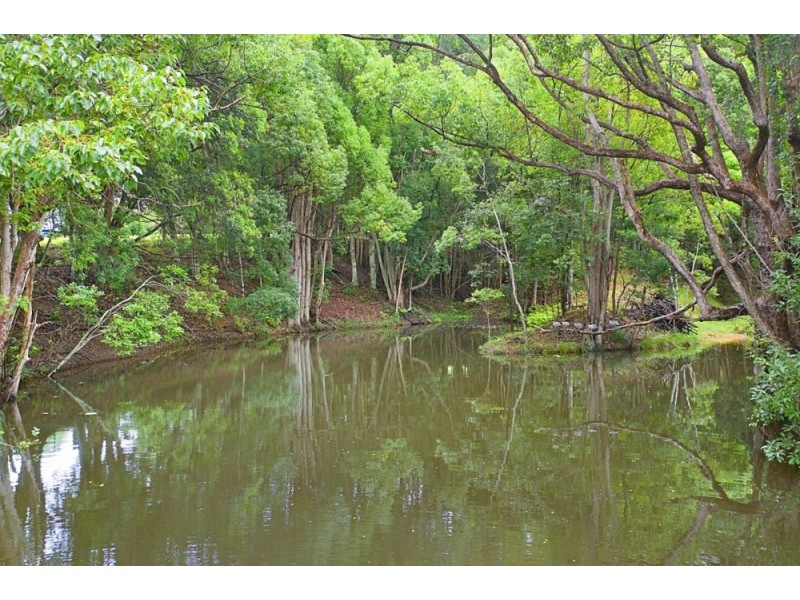 29 Green Valley Way, Piggabeen NSW 2486