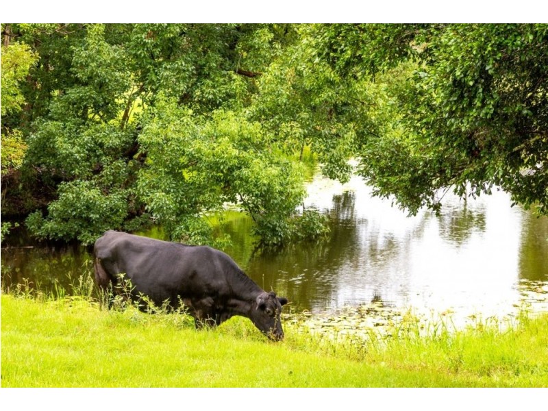 29 Green Valley Way, Piggabeen NSW 2486