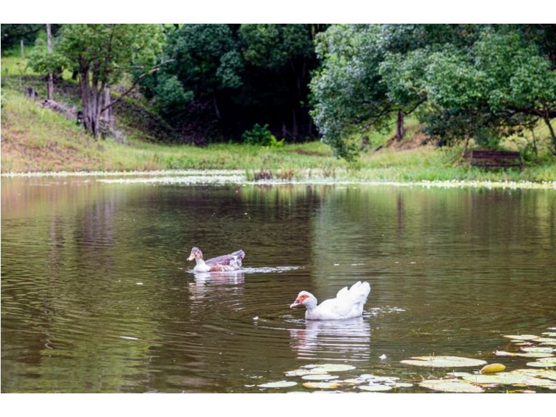 29 Green Valley Way, Piggabeen NSW 2486