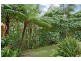45 Shamrock Avenue, Banora Point NSW 2486